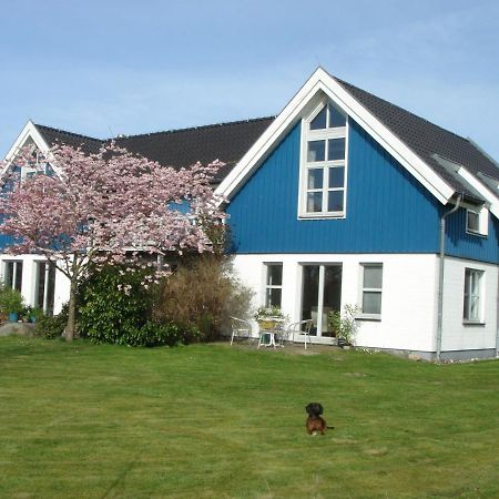 Haus Am Deich Ferienwohnungen プレロー エクステリア 写真